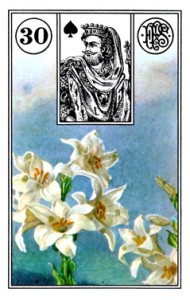 lenormand 30 Lily