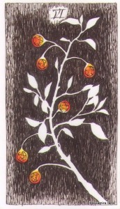 Wild Unknown Pentacles 6