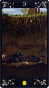 Black Cats Tarot - Sách Hướng Dẫn 181