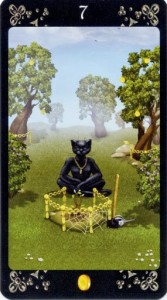 Black Cats Tarot - Sách Hướng Dẫn 183