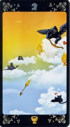 Ý nghĩa lá Page of Cups trong bộ Black Cats Tarot
