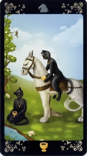 Ý nghĩa lá Knight of Cups trong bộ Black Cats Tarot