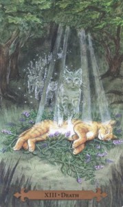 Mystical Cats Tarot - Sách Hướng Dẫn 102