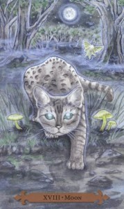 Mystical Cats Tarot - Sách Hướng Dẫn 107
