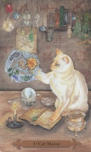 Mystical Cats Tarot - Sách Hướng Dẫn 90