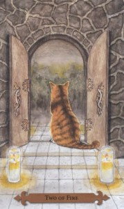 Mystical Cats Tarot - Sách Hướng Dẫn 112