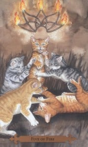 Mystical Cats Tarot - Sách Hướng Dẫn 115