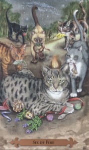 Mystical Cats Tarot - Sách Hướng Dẫn 116