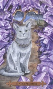 Mystical Cats Tarot - Sách Hướng Dẫn 91