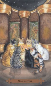Mystical Cats Tarot - Sách Hướng Dẫn 119