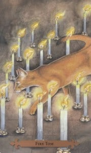 Mystical Cats Tarot - Sách Hướng Dẫn 122