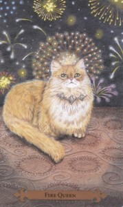 Mystical Cats Tarot - Sách Hướng Dẫn 123