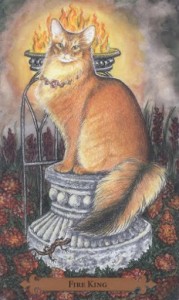 Mystical Cats Tarot - Sách Hướng Dẫn 124