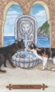 Mystical Cats Tarot - Sách Hướng Dẫn 126