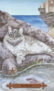 Mystical Cats Tarot - Sách Hướng Dẫn 138