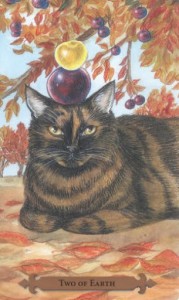 Mystical Cats Tarot - Sách Hướng Dẫn 154