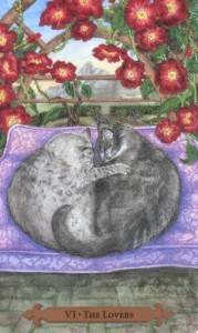 Mystical Cats Tarot - Sách Hướng Dẫn 95