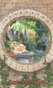 Mystical Cats Tarot - Sách Hướng Dẫn 161