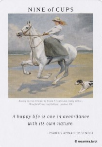 Art of Life Tarot - Sách Hướng Dẫn 361