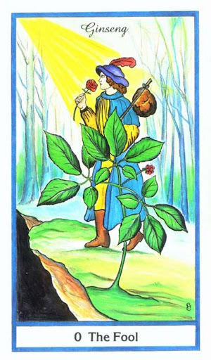 Ý nghĩa lá The Fool trong bộ bài Herbal Tarot