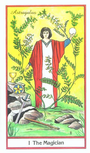 Ý nghĩa lá The Magician trong bộ bài Herbal Tarot