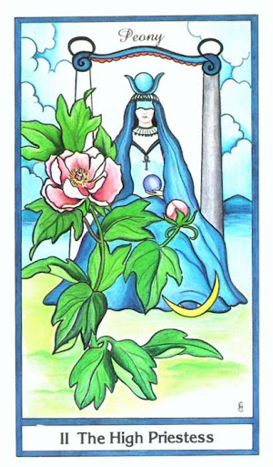 Ý nghĩa lá The High Priestess trong bộ bài Herbal Tarot