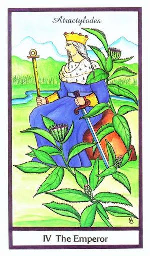 Ý nghĩa lá The Emperor trong bộ bài Herbal Tarot