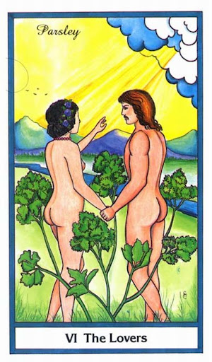 Ý nghĩa lá The Lover trong bộ bài Herbal Tarot