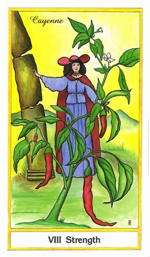 Ý nghĩa lá Strength trong bộ bài Herbal Tarot