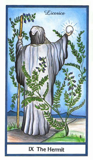 Ý nghĩa lá The Hermit trong bộ bài Herbal Tarot