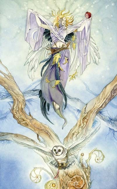 Cảm Nhận Lá The High Priestess Trong Shadowscapes Tarot