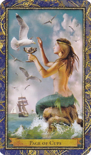 Lá Page of Cups – Wizards Tarot