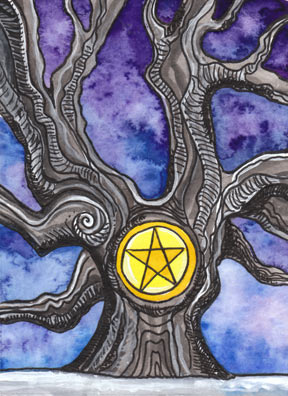 Lá King of Pentacles – Tarot of Trees