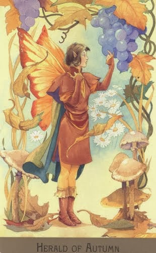 Lá Herald of Autumn – Victorian Fairy Tarot
