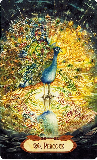 Lá 26. Peacock – Winged Enchantment Oracle