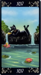 Black Cats Tarot - Sách Hướng Dẫn 15
