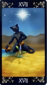 Black Cats Tarot - Sách Hướng Dẫn 252