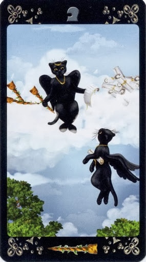Ý nghĩa lá Page of Wands trong bộ Black Cats Tarot