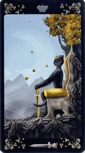Ý nghĩa lá Queen of Swords trong bộ Black Cats Tarot