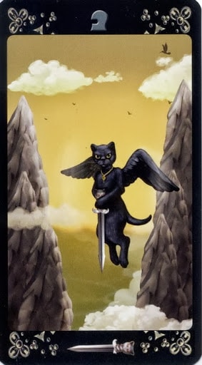 Ý nghĩa lá Page of Swords trong bộ Black Cats Tarot