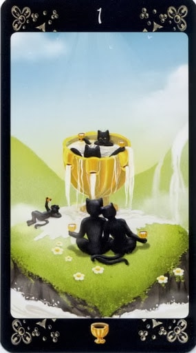 Ý nghĩa lá Ace of Cups trong bộ Black Cats Tarot