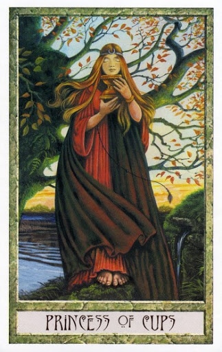 Ý nghĩa lá Princess of Cups trong bộ Druidcraft Tarot