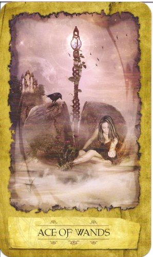 Ý nghĩa lá Ace of Wands trong bộ Mystic Dreamer Tarot
