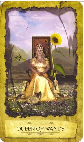 Ý nghĩa lá Queen of Wands trong bộ Mystic Dreamer Tarot