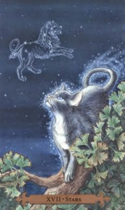 Mystical Cats Tarot - Sách Hướng Dẫn 18