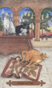 Mystical Cats Tarot - Sách Hướng Dẫn 31