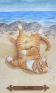 Mystical Cats Tarot - Sách Hướng Dẫn 48