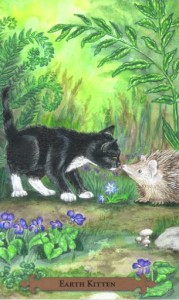 Mystical Cats Tarot - Sách Hướng Dẫn 76
