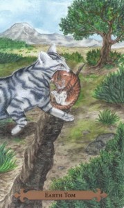 Mystical Cats Tarot - Sách Hướng Dẫn 77