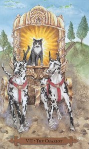 Mystical Cats Tarot - Sách Hướng Dẫn 8